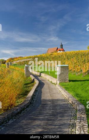 Maria im Weingarten und Weinberge bei Volkach, Unterfranken, Bayern, Deutschland Stockfoto