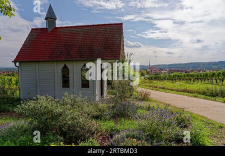 Kleine Kapelle in den Weinbergen auf der Weininsel bei Sommerach auf der Vokacher Mainschleife, Kreis Kitzingen, Unterfranken, Franken, Bayern, Stockfoto