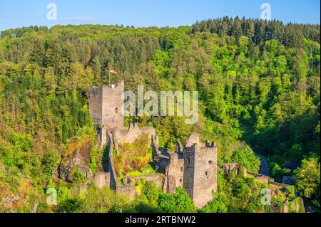 Niederburg, Manderscheid, Eifel, Rheinland-Pfalz, Deutschland Stockfoto