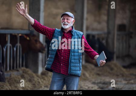 Reifer Farmer mit erhobenen Armen und fröhlichem Gesichtsausdruck auf dem Bauernhof mit Kühen im Hintergrund Stockfoto