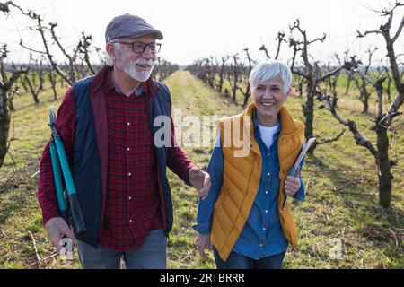 Reifes Paar, das im Frühjahr auf dem Obstgarten spaziert, redet und lächelt, eine Schere hält Stockfoto