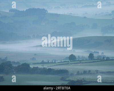 Landschaft von Stiperstones, einem felsigen Quarzitgrat in South Shropshire, England. Stockfoto