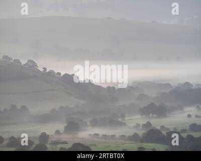 Landschaft von Stiperstones, einem felsigen Quarzitgrat in South Shropshire, England. Stockfoto