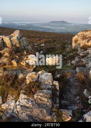 Landschaft von Stiperstones, einem felsigen Quarzitgrat in South Shropshire, England. Stockfoto