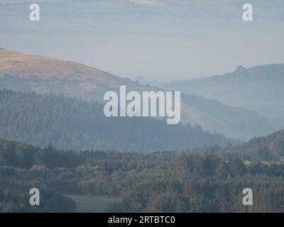 Landschaft von Stiperstones, einem felsigen Quarzitgrat in South Shropshire, England. Stockfoto