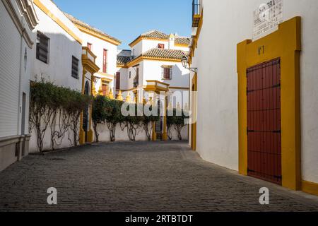 Plaza de Toros, Sevilla, Andalusien Stockfoto