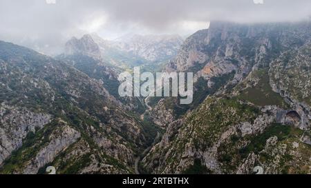 Die enge Schlucht La Hermida, die gewundene Straße durch sie und die zerklüfteten Gipfel des Picos de Europa an einem bewölkten Tag mit aufragenden Wolken. Cantabria, Spanien. Stockfoto