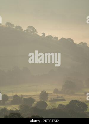 Landschaft von Stiperstones, einem felsigen Quarzitgrat in South Shropshire, England. Stockfoto