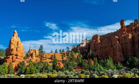 Red Rocks, Blue Sky, Green Trees und gelbe Blumen im Red Canyon Utah Stockfoto