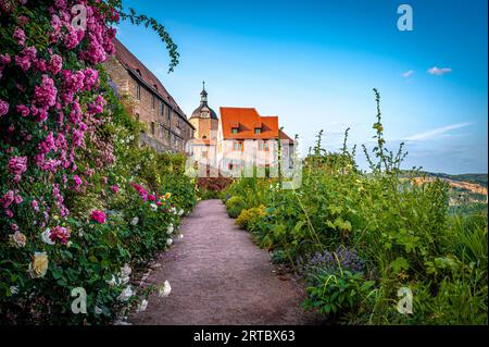 Blick auf die „Alte Burg“ auf dem Burggelände der Dornburger Burgen bei Jena, Dornburg-Camburg, Thüringen, Deutschland Stockfoto