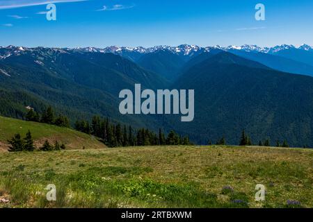 Wildblumen und wunderschöne Aussichten entlang des Trail von der Straße von „The Rideines“. Stockfoto