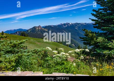 Wildblumen und wunderschöne Aussichten entlang des Trail von der Straße von „The Rideines“. Stockfoto