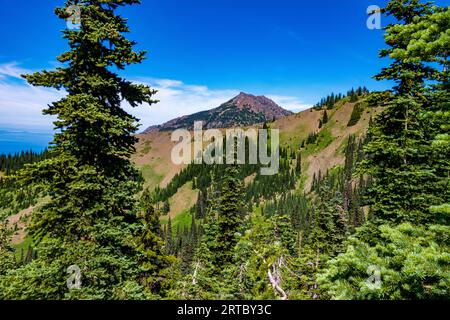 Wildblumen und wunderschöne Aussichten entlang des Trail von der Straße von „The Rideines“. Stockfoto