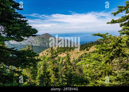 Wildblumen und wunderschöne Aussichten entlang des Trail von der Straße von „The Rideines“. Stockfoto