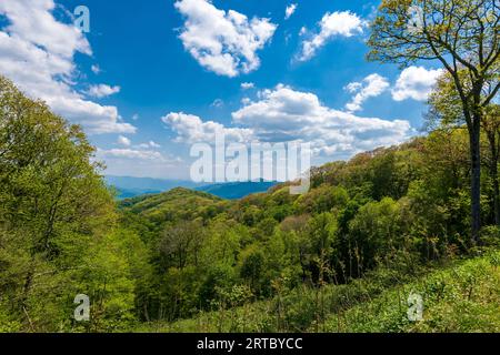 Blick auf den Park von der neu entdeckten Gap Road Stockfoto