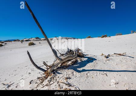 Blauer Himmel, weißer Sand im White Sands National Park im Süden von New Mexico Stockfoto