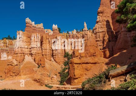 Bei einer Wanderung durch das Ampitheater im Bryce Canyon werden viele Hoodoo's und andere wunderschöne Orte entdeckt Stockfoto