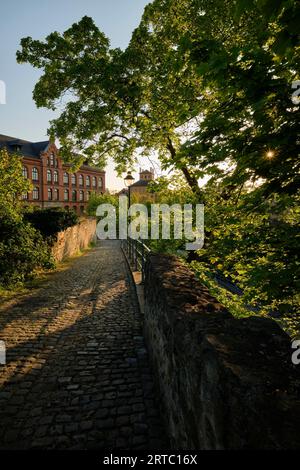 Die historische Altstadt von Zeitz, Burgenlandkreis, Sachsen-Anhalt, Deutschland Stockfoto