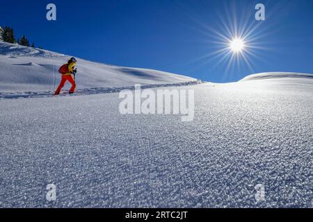 Frau auf Skitour durch Raureif zum Wiedersberger Horn, Wiedersberger Horn, Kitzbüheler Alpen, Tirol, Österreich Stockfoto