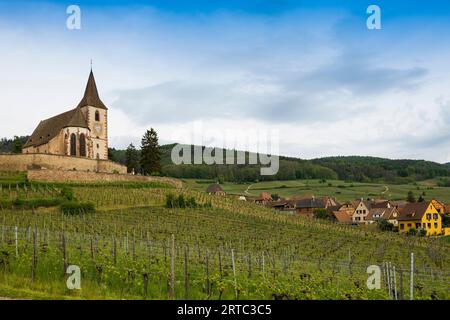 Kirche in den Weinbergen, gotische Stadtbefestigung Saint-Jacques, Hunawihr, Grand Est, Oberrhein, Elsass, Frankreich Stockfoto
