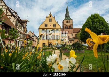 Rathaus, Turckheim, Grand Est, Haut-Rhin, Elsass, Frankreich Stockfoto