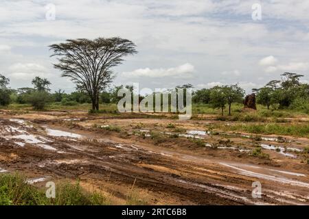 Schlammige Straßen und Termitenhügel im Omo-Tal, Äthiopien Stockfoto