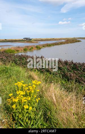 Blick über den Freshwater Marsh im RSPB Titchwell Bird Reserve in Richtung South Parrinder Hide. Stockfoto