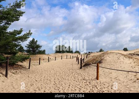 Touristenpfad durch die Dünen in der Nähe des Dorfes Czolpino im Slovincian National Park, Polen Stockfoto