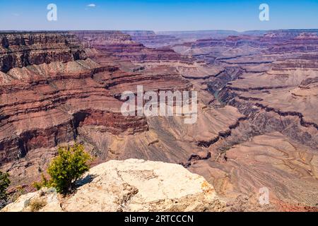 Blick in die tiefe Schlucht des Grand Canyon mit dem Colorado River weit unten, Grand Canyon National Park, Arizona, USA Stockfoto