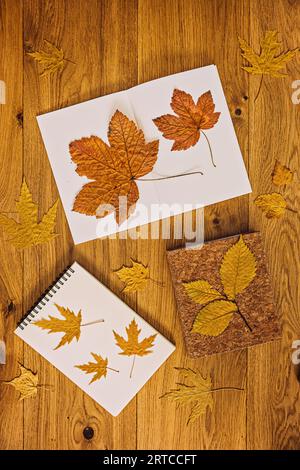 Herbstherbarium, Rahmen mit Herbstblättern. Herbsthintergrund mit offenem Papierheft mit trockenen Ahornblättern auf hölzernem Hintergrund. Flach liegend. Draufsicht. Stockfoto