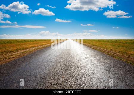 Lange gerade Wüstenstraße, flachen Horizont mit Licht strömt aus geradeaus. Stockfoto