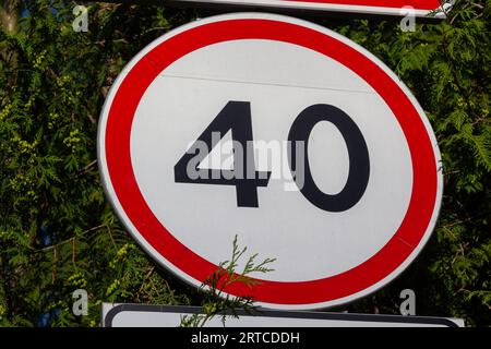 Verkehrsschilder. Verkehrszeichen für Geschwindigkeitsbegrenzung gegen grüne Blätter. Stockfoto