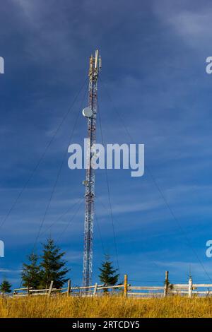 Telekommunikationsturm mit Radio, Mikrowelle und TV-Antennensystem im Wald vor dem blauen Himmel. Antennenturm, Ansicht vom g Stockfoto