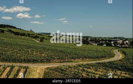 Weinbau am Fuße des Niederwaldes, im Hintergrund das Kloster St. Hildegard, Weltkulturerbe Oberes Mittelrheintal, Rüdesheim, Hessen, Stockfoto