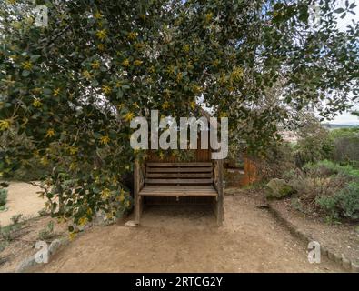 Einsame Bank, auf der Sie inmitten der Natur im Bosque Encantado sitzen und entspannen können. Madrid Stockfoto