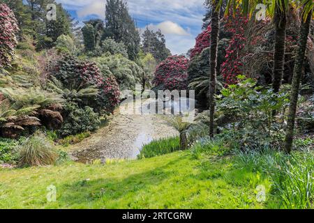 Ein Teich in den Lost Gardens von Heligan, Pentewan, St.Austell, Cornwall, England, UK Stockfoto