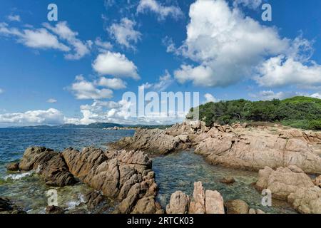 Plage de Palombaggia, Strand, Strand, Porto Vecchio, Corse-du-Sud, Korsika, Frankreich, Europa Stockfoto
