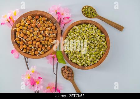 Gekeimte Kala Chana oder schwarze oder braune Kichererbsen, einer der veganen Ersatz für reichhaltiges Protein mit hohem Gehalt an lebenden Enzymen.Konzept von gesundem g Stockfoto