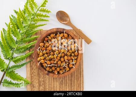 Gekeimte Kala Chana oder schwarze oder braune Kichererbsen, einer der veganen Ersatz für reichhaltiges Protein mit hohem Gehalt an lebenden Enzymen.Konzept von gesundem g Stockfoto
