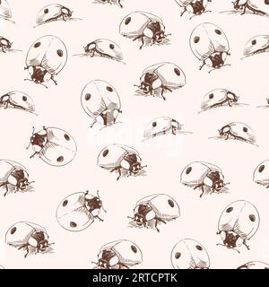 Nahtloses Vektormuster mit handgezeichneten realistischen Marienkäfer, Insektenmotiv monochrom Stock Vektor