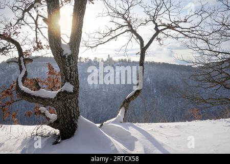 Schneebedeckte Burg Lichtenstein im Hinterlicht, Honau, Kreis Reutlingen, Schwäbische Jura, Baden-Württemberg, Ger Stockfoto