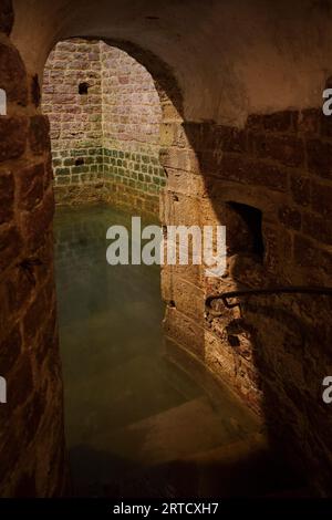 UNESCO-Weltkulturerbe „Schum Sites“, Mikwe (religiöses Ritualbad) im Judenhof in Speyer, Rheinland-Pfalz, Deutschland, Europa Stockfoto