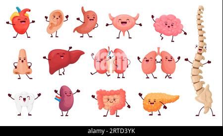 Comic-Orgelcharaktere mit glücklichen Gesichtern, niedlicher Anatomie. Vektorpersönlichkeiten für innere Körperteile, lustiges Herz, Leber, Gehirn, Lunge und Zahn, Niere, Sto Stock Vektor