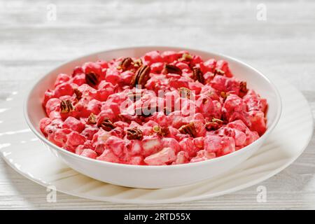 Preiselbeersalat mit Marshmallows, frischem Apfel und Pekannüssen in weißer Schüssel auf weißem Holztisch Stockfoto