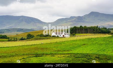 Grüne Berglandschaft mit Schaffarmen auf der Isle of Skye, Schottland. Stockfoto