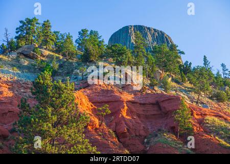 Sonnenaufgang auf roten Felsklippen am Devil's Tower National Monument in Wyoming. Der Devils Tower, der sich 1267 Meter über dem Fluss Belle Fourche erhebt. Stockfoto