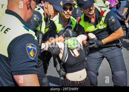 Den Haag, Niederlande, 10. september 2023. Aktivisten der Extinction Rebellion protestierten, indem sie die Autobahn A12 erneut blockierten. Ein Watercannon wurde eingesetzt und die Polizei entfernte und verhaftete Hunderte von Menschen.die Demonstranten wollen jeden Tag zurückkehren, um die Straße zu blockieren Stockfoto