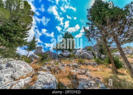 Ruinen der Gradina-Festung auf dem Berg Drvenik Biokovo in Kroatien Stockfoto