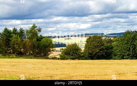 September: Blick auf das Strathmore Valley und die Sidlaw Hills in Dundee, Schottland Stockfoto