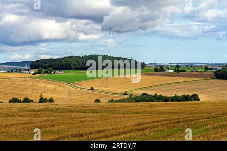 September: Blick auf das Strathmore Valley und die Sidlaw Hills in Dundee, Schottland Stockfoto